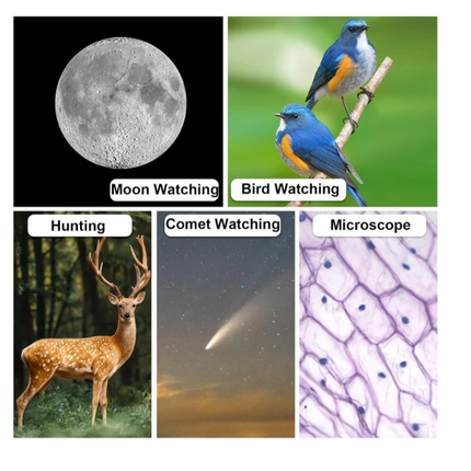 Ultra-Light Tridaptor – 3-Assige Phone Mount – Voor 22–61 mm Oculair - Telescoop