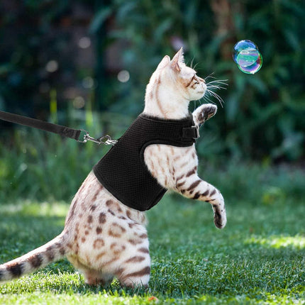 Katzengeschirr mit Leine – Größe M – schwarz – bequem und verstellbar
