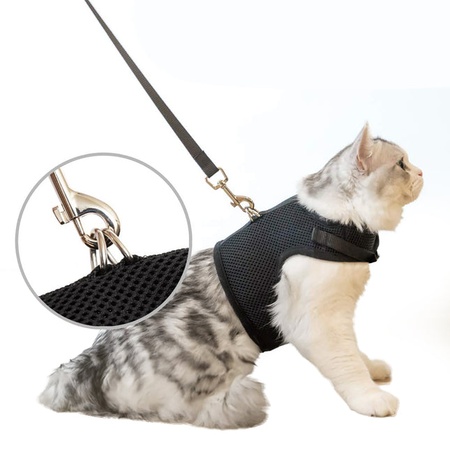 Kattentuigje met Leiband Riem Kattenharnas Zwart Maat M Kat & Kitten - Dieren Kattenriem - Cat Leash - Halsomvang 20 tot 26cm - Borstomvang 30 tot 34cm