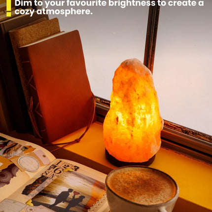 Ovenlamp E14 26W dimbaar 500°C warm wit 2700K – 2 stuks