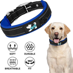 Collection image for: Riemen en halsbanden