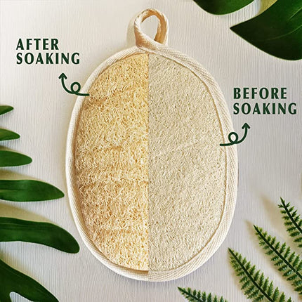 Natürlicher Peeling-Luffa-Schwamm (4 Packungen), hergestellt aus umweltfreundlichem und biologisch abbaubarem Duschschwamm, Luffa für Frauen und Männer, braun